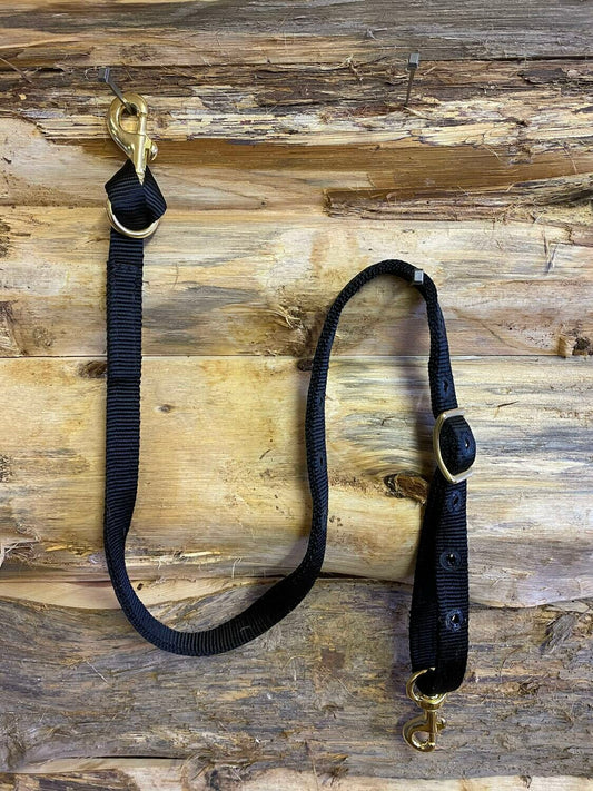PREORDER // L&W Bits Tiedown Strap With Conway Buckle Adjustment