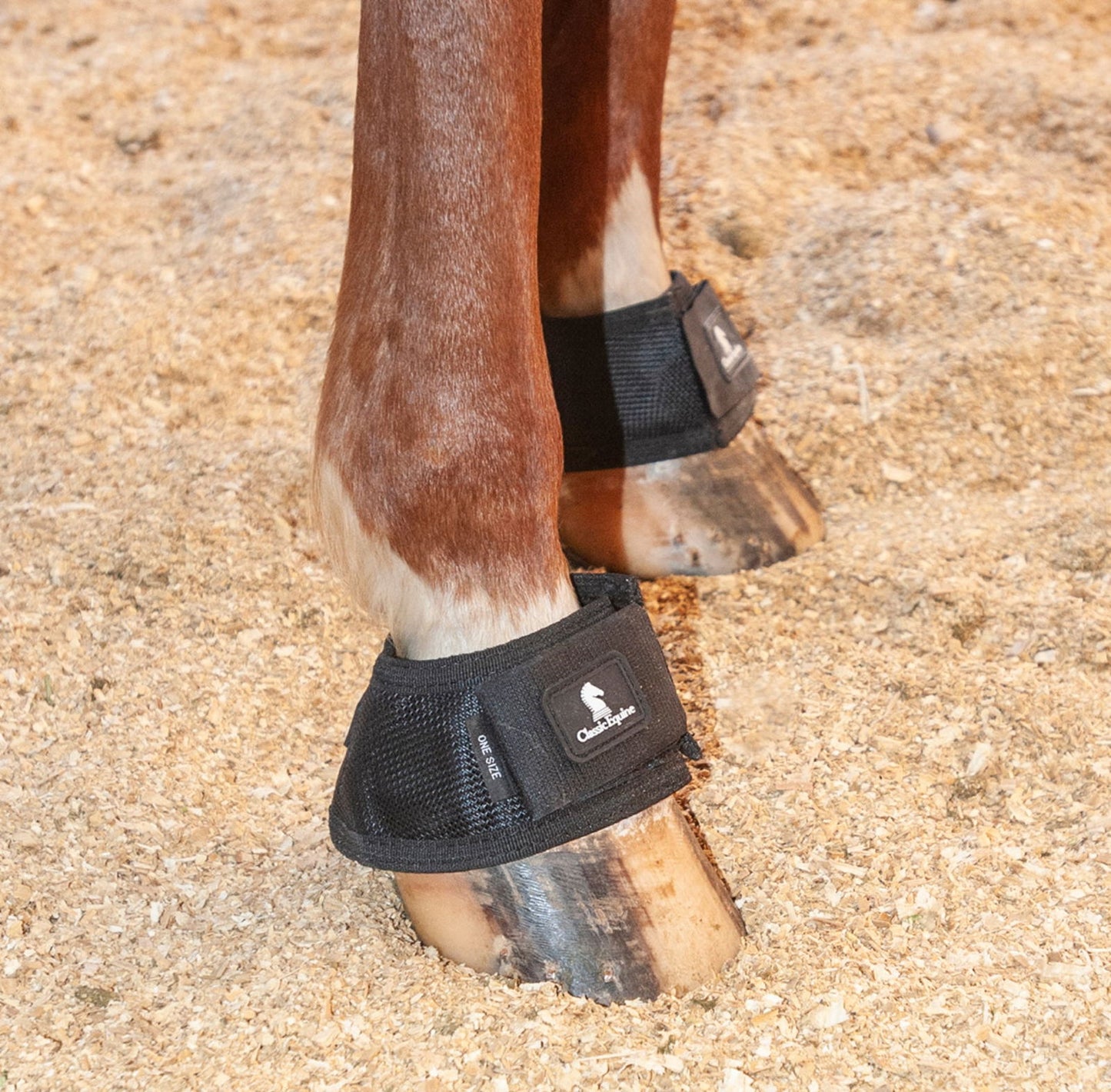 MagNTX Bell Boot - Magnetic Equine Therapy - Dustybutts Australia