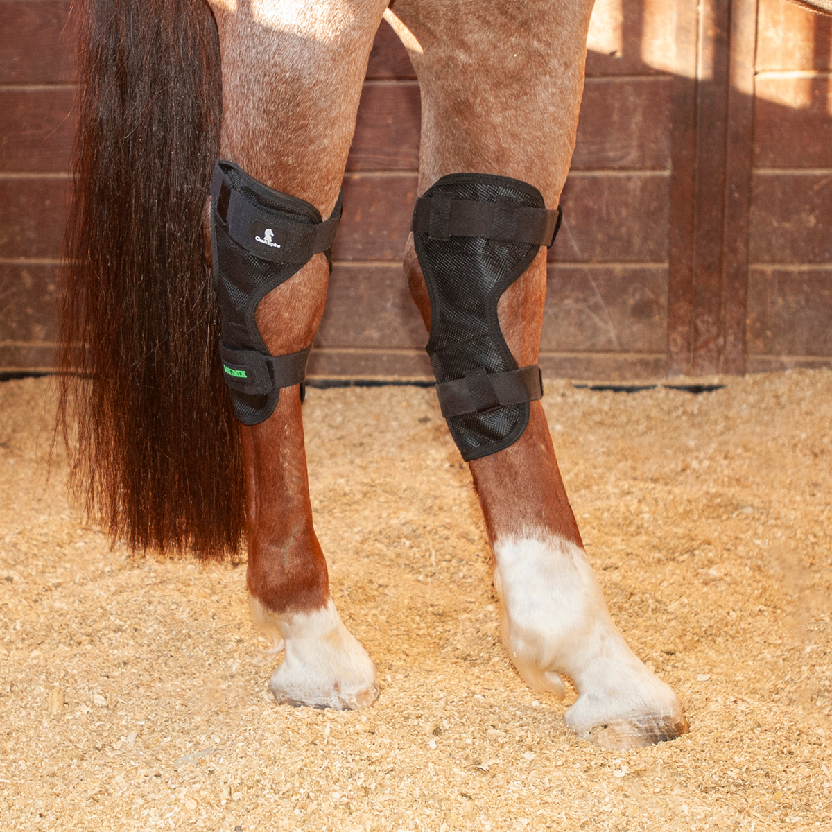 MagNTX Hock Wrap - Magnetic Equine Therapy - Dustybutts Australia