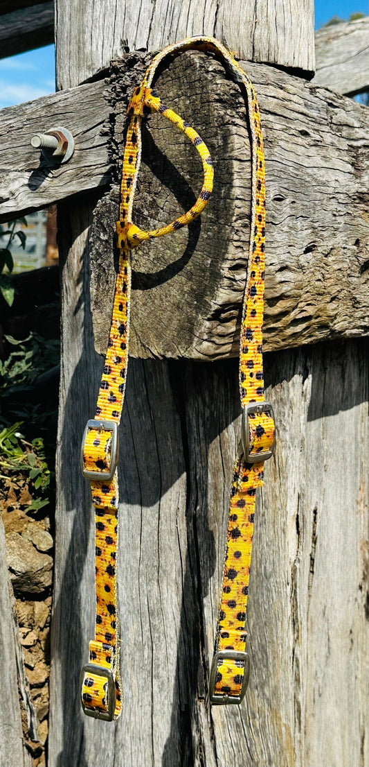 Nylon One Ear Headstall With Sunflower Print Design - Dustybutts Australia