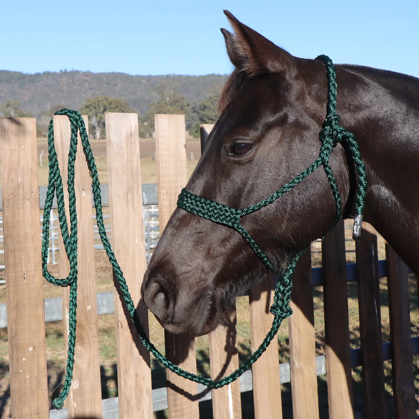 Dustybutts Flat Braid Mule Tape Halter // Hunter Green