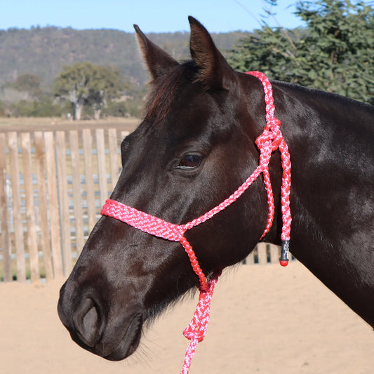 Dustybutts Flat Braid Mule Tape Halter // Hot Pink