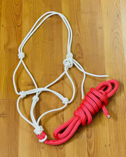 Pink Rope Halter With 12ft Lead - Cob // Full - Dustybutts Australia