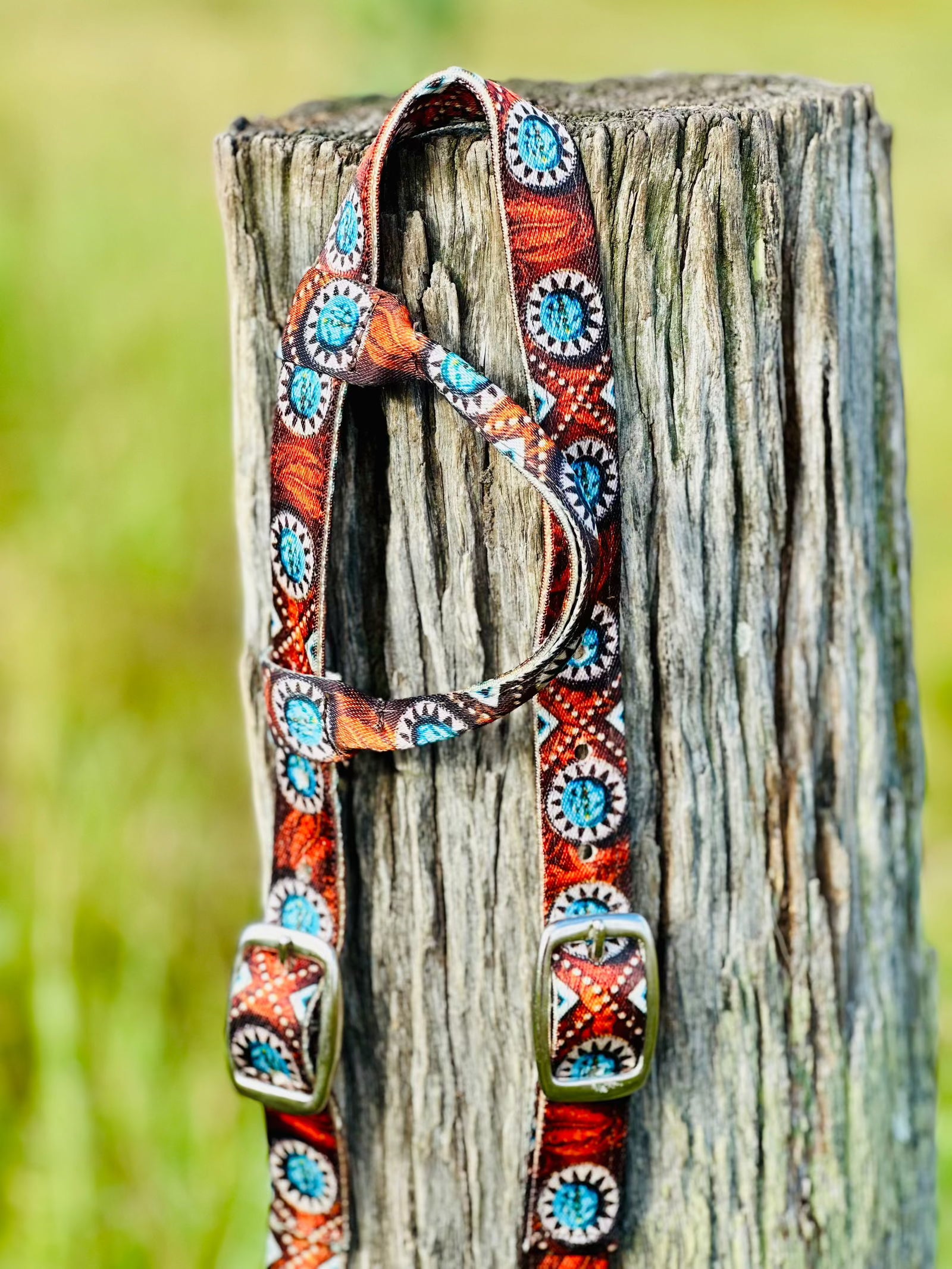 Quick Change Nylon One Eared Bridle - Wild West Feathered - Dustybutts Australia