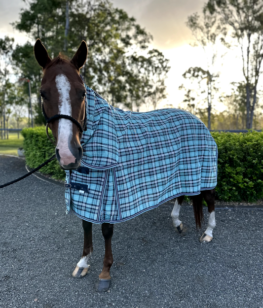 Ruby Rose Aqua/Navy PVC Shade Mesh Horse Rug Combo -  - Dustybutts Australia