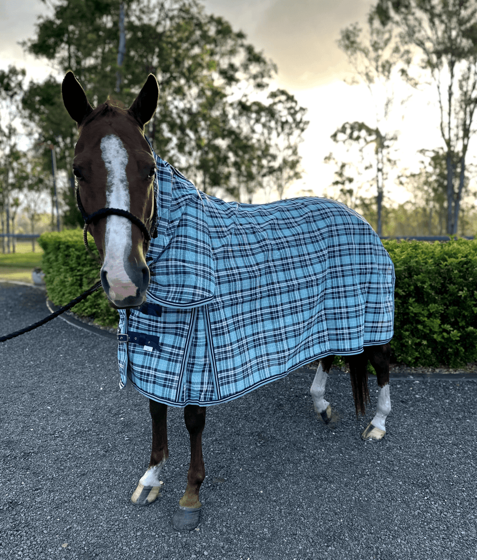 Durable PVC Mesh Horse Rug for Summer Comfort & UV Protection ...