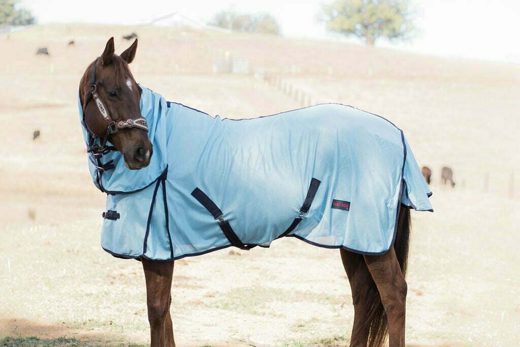 Ruby Rose Fly Mesh Combo Horse Rug // Blue - Dustybutts Australia