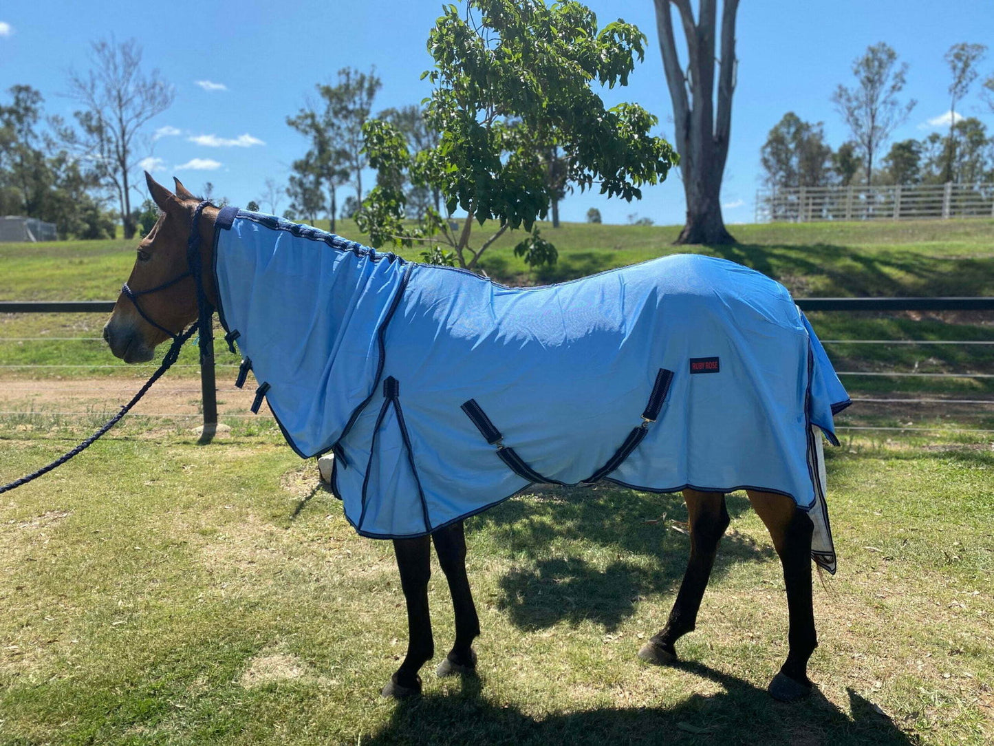 Ruby Rose Fly Mesh Combo Horse Rug // Blue - Dustybutts Australia