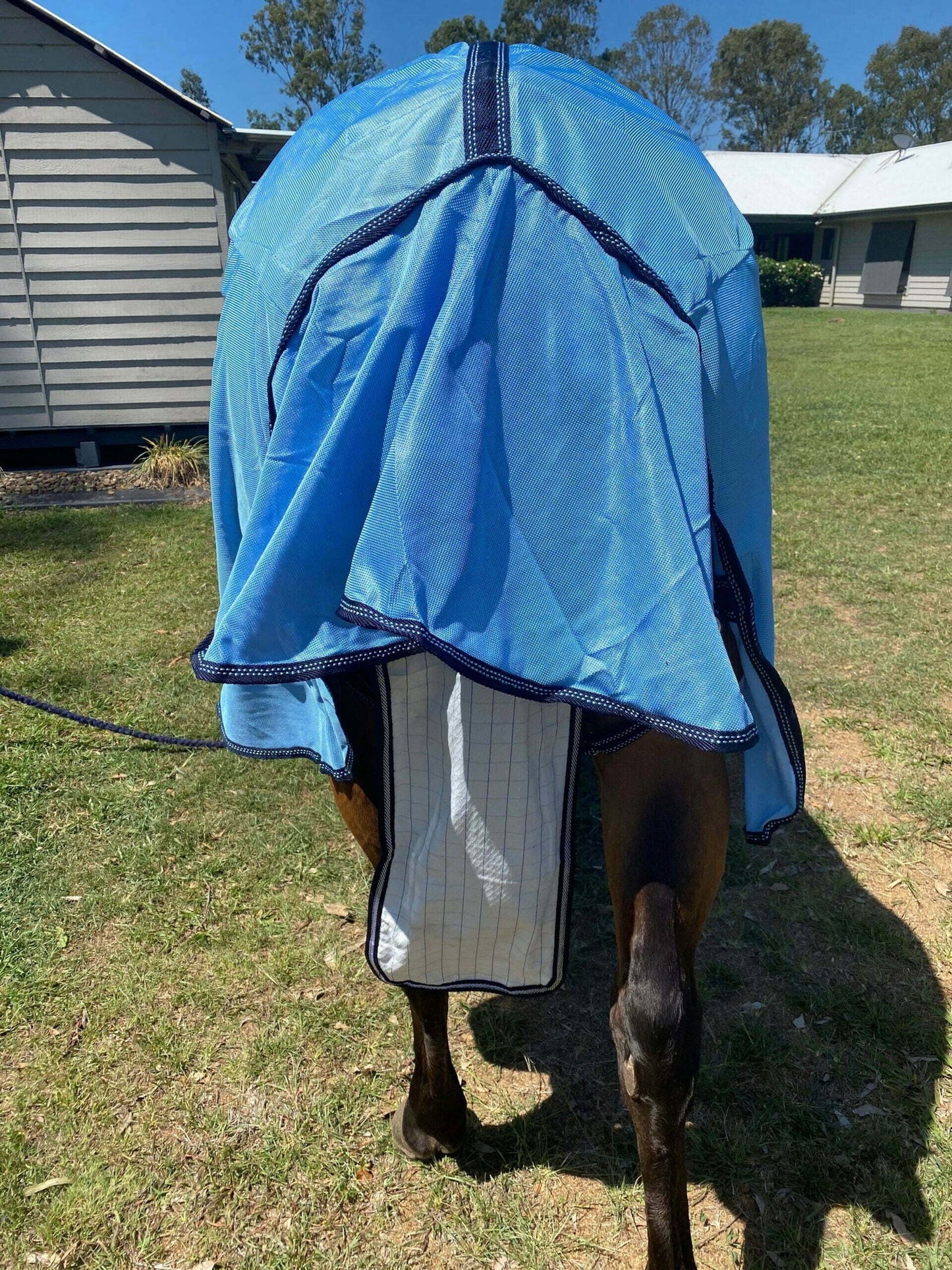 Ruby Rose Fly Mesh Combo Horse Rug // Blue - Dustybutts Australia