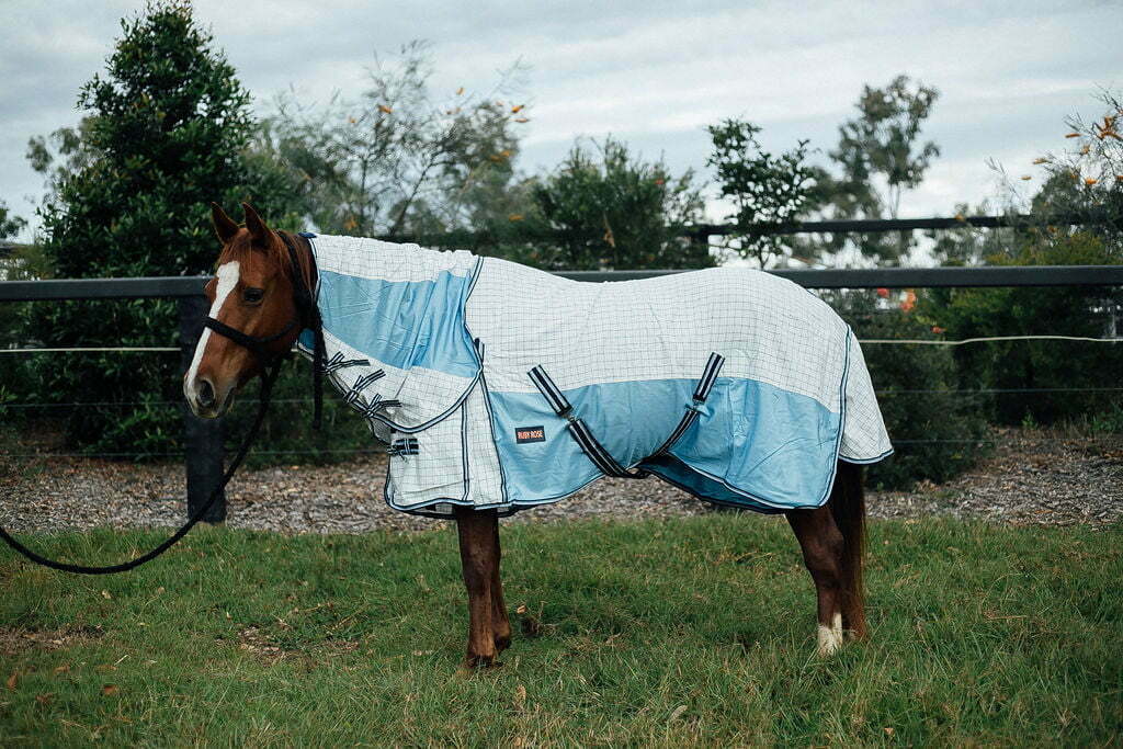 Ruby Rose Poly Cotton/ Mesh Hybrid Combo Horse Rug - Dustybutts Australia