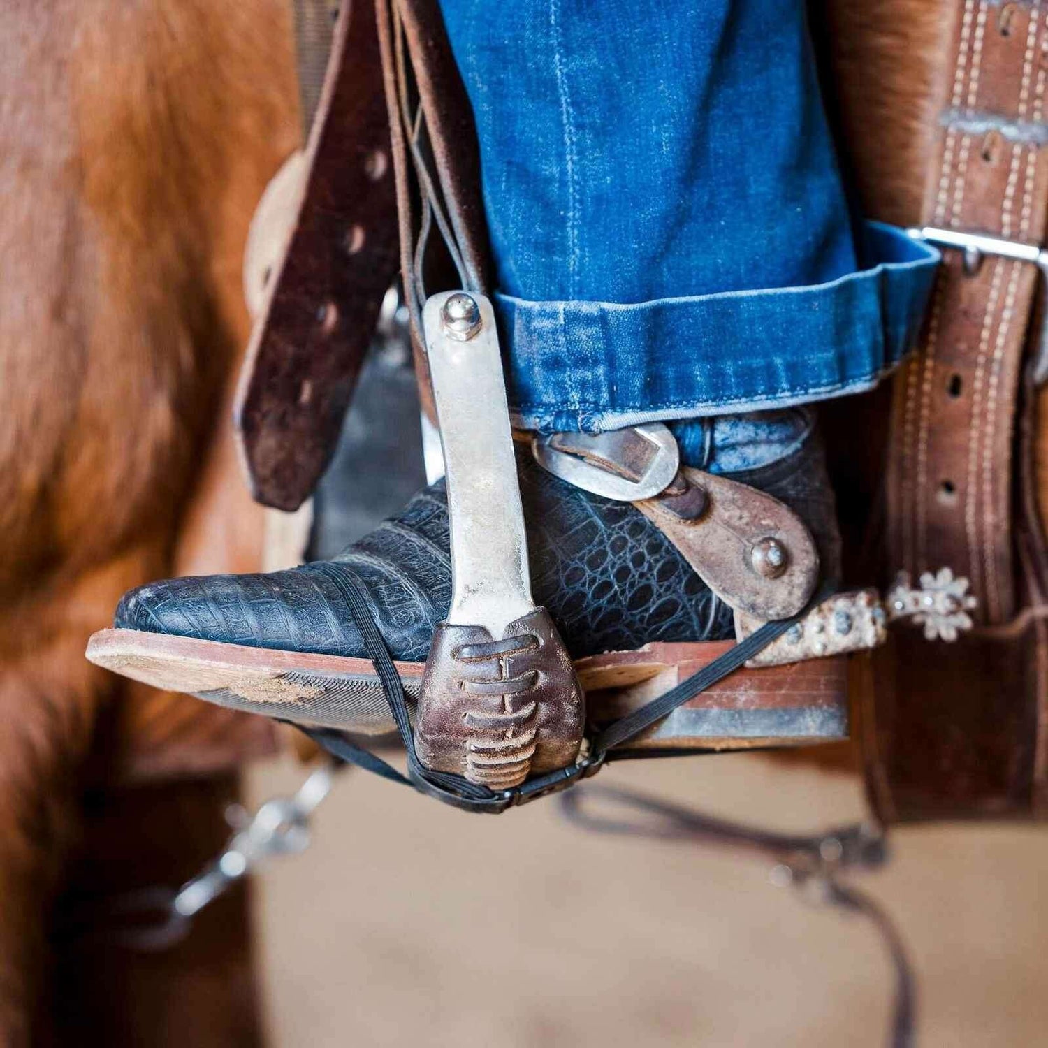 The_Better_Band_--_Adult_Large_Sizes_8_-_11_-_-_Dustybutts_Australia-3800346