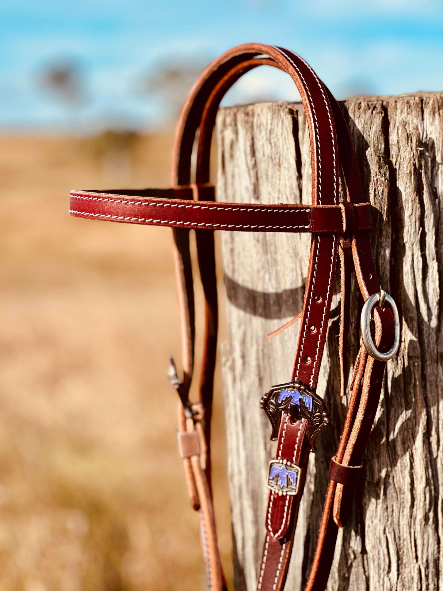 Dustybutts Browband Bridle With Thunderbird Buckle Design