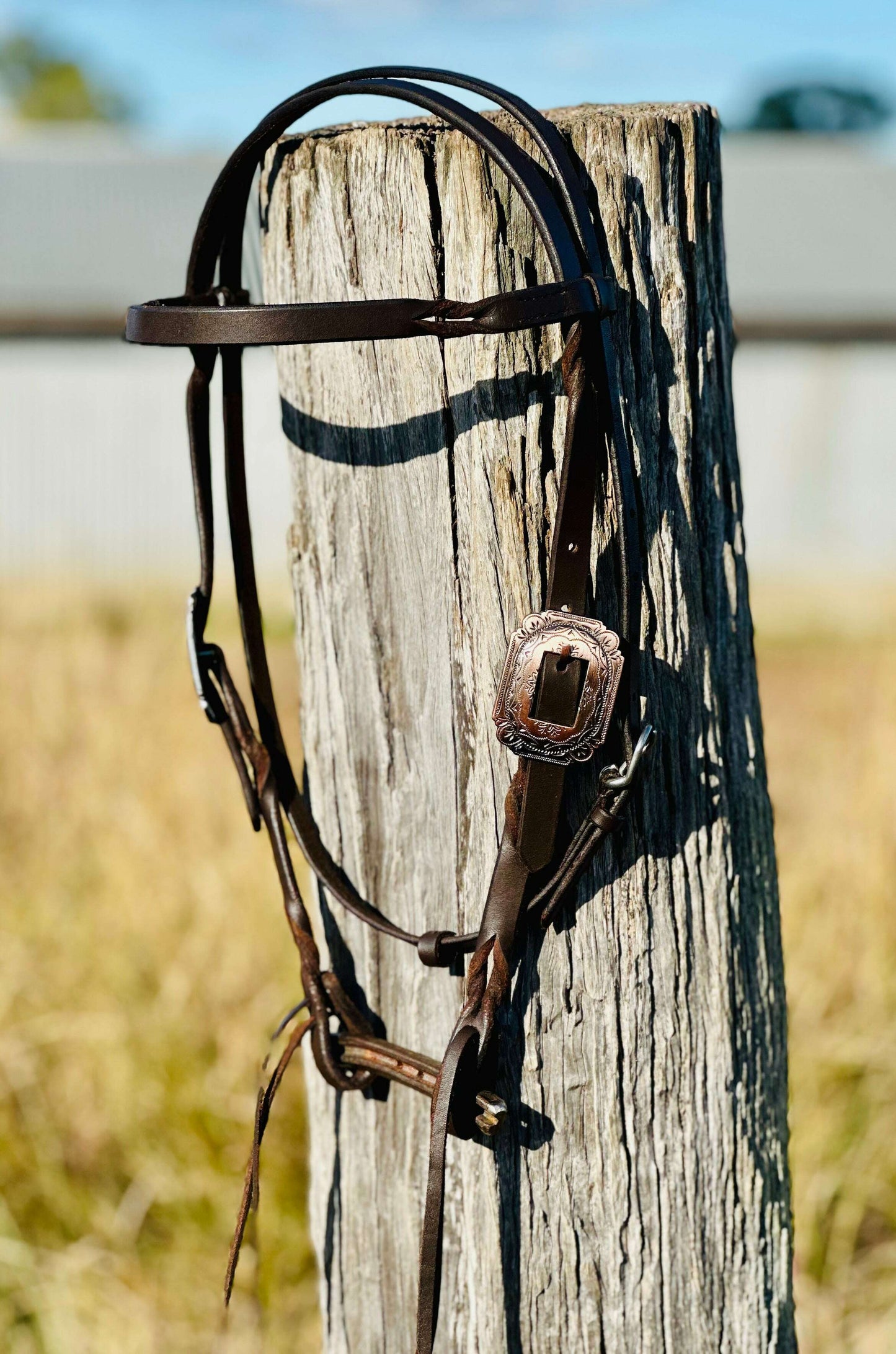 Harness Leather Bloodknot Browband Bridle With Copper Engraved Buckle