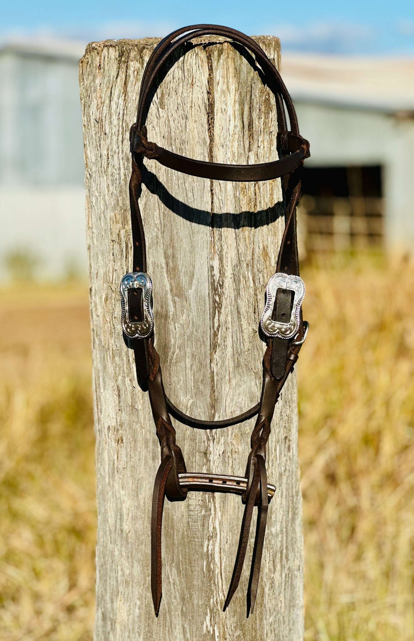 Harness Leather Bloodknot Browband Bridle With Engraved Buckle
