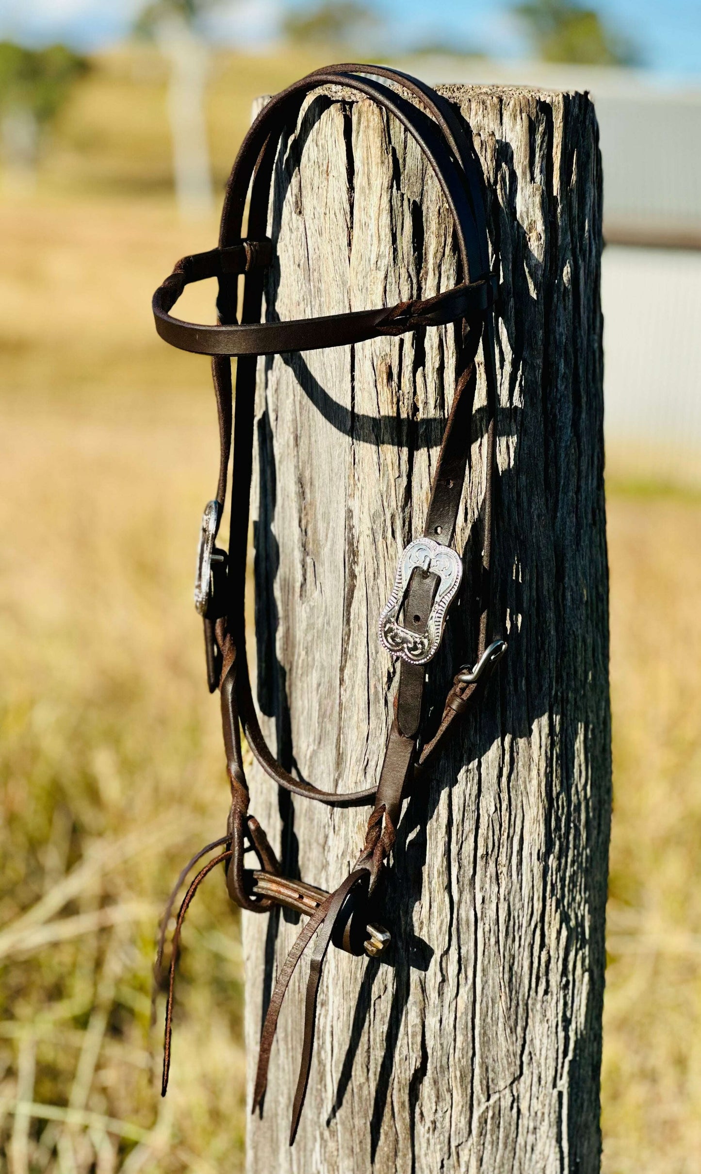 Harness Leather Bloodknot Browband Bridle With Engraved Buckle