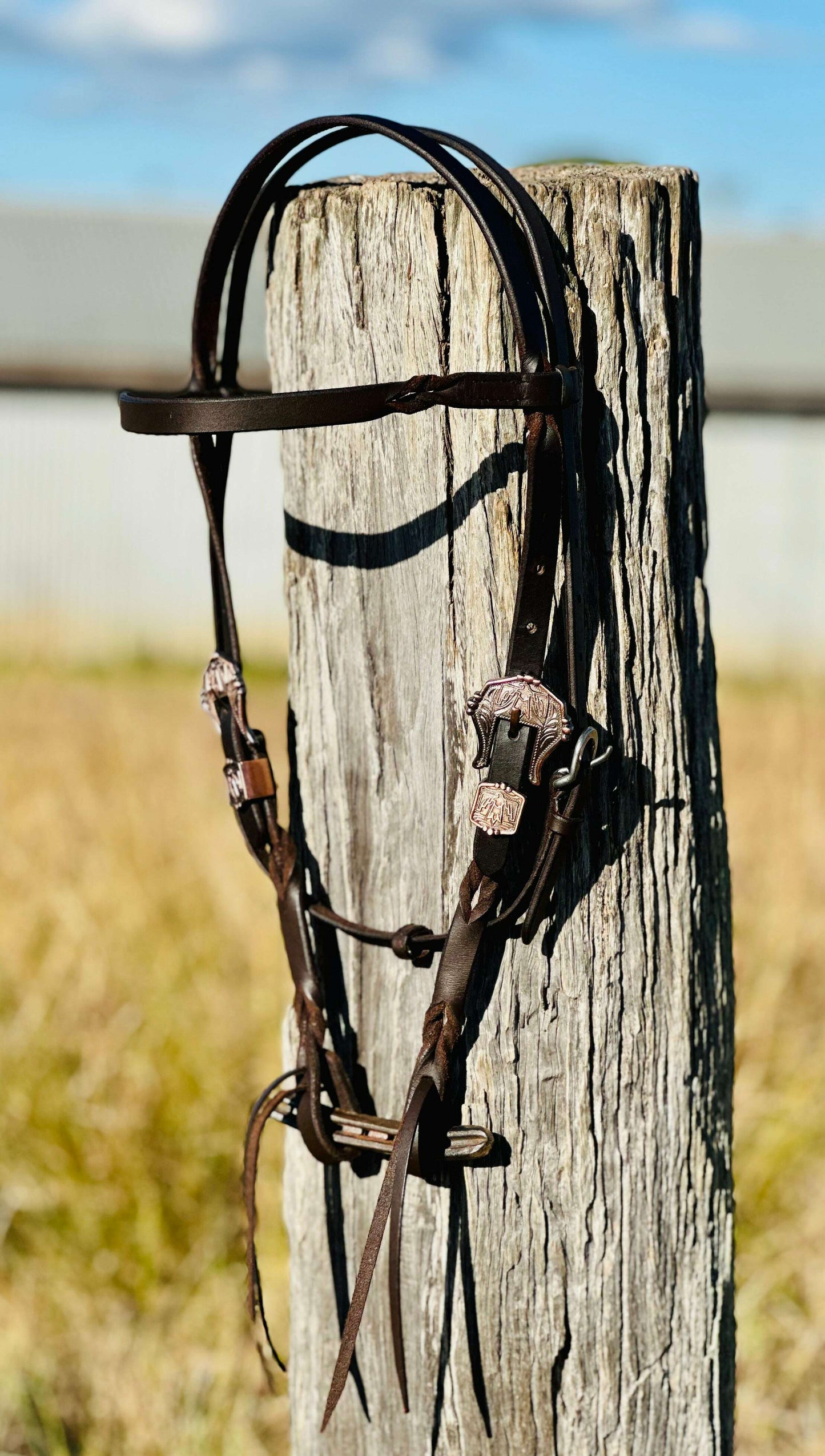 Harness Leather Bloodknot Browband Bridle With Thunderbird Buckle